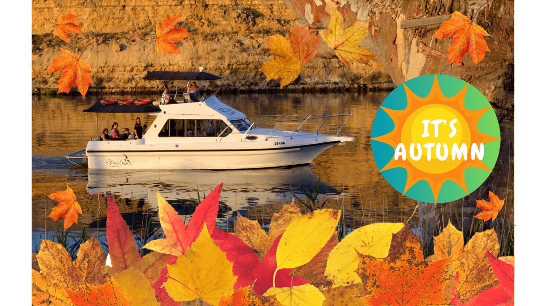 🍂 Autumn is Here on the Murray River